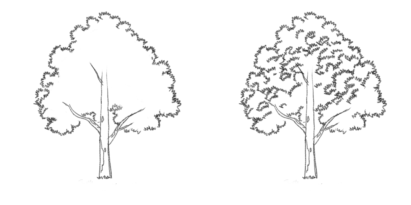 鉛筆でのリアルな木の描き方｜立体感を劇的に出す極意と簡単ステップ