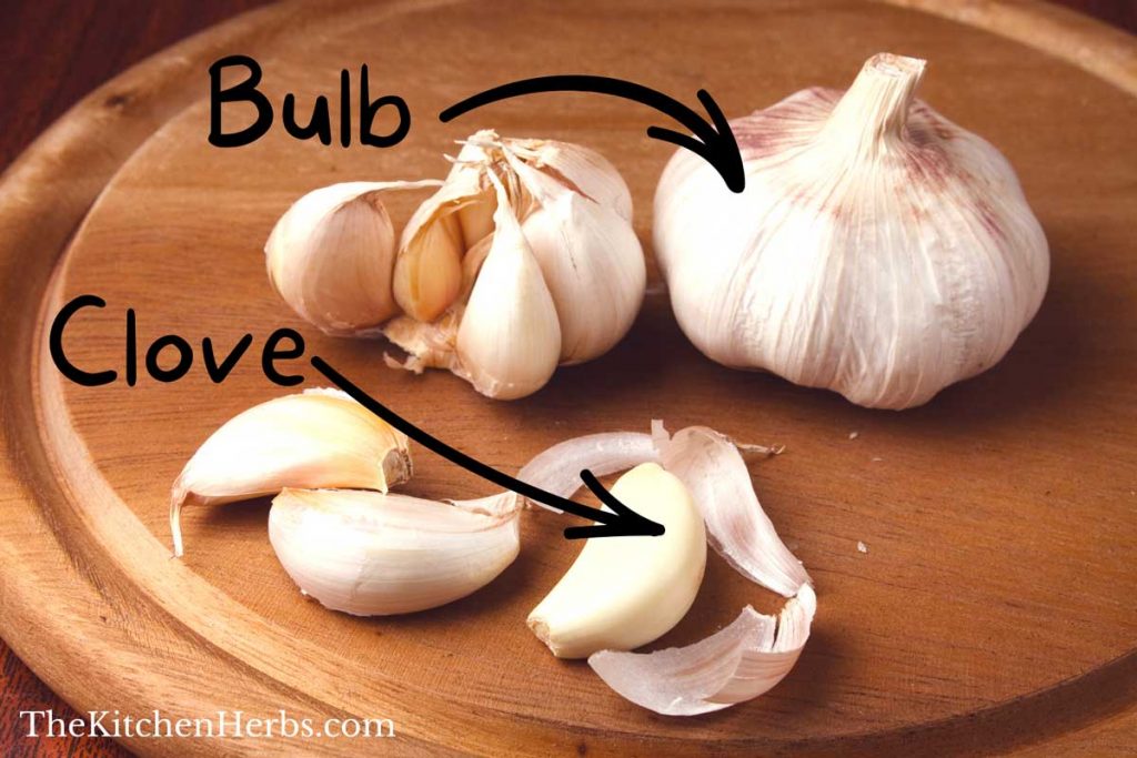 Meaning of Cloves of Garlic