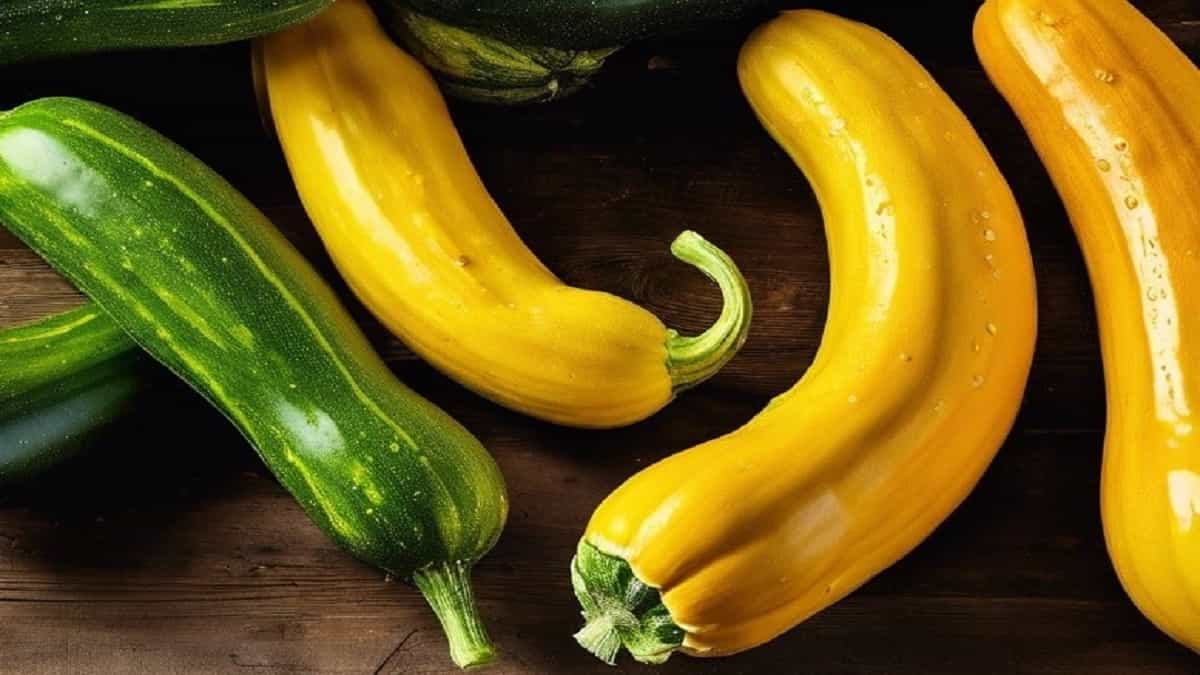 What Is the Difference Between Yellow and Green Zucchini