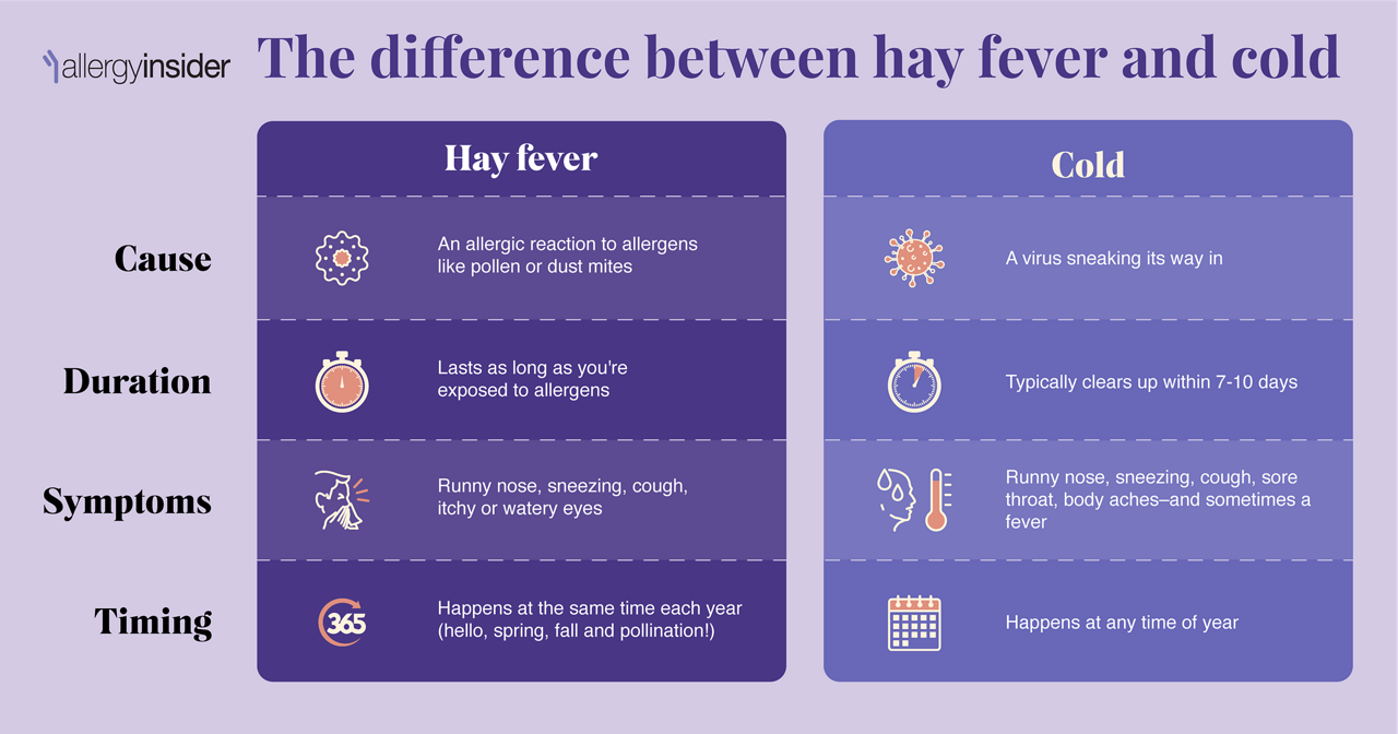 Can Hayfever Feel Like a Cold