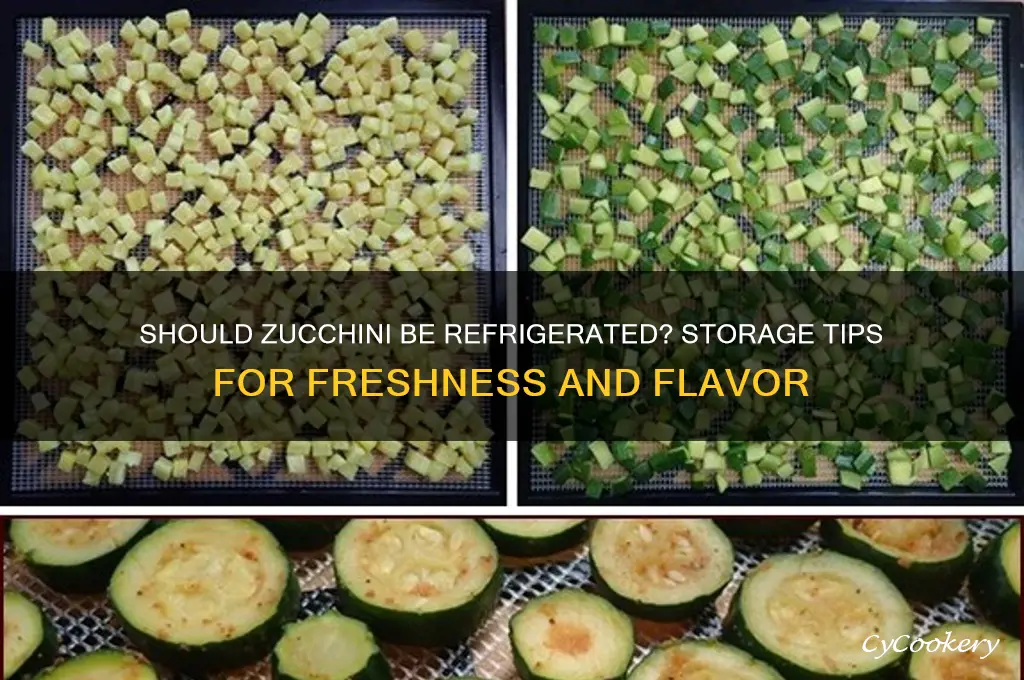 Should I Refrigerate Zucchini