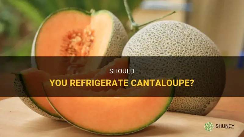 Does Uncut Cantaloupe Need to Be Refrigerated