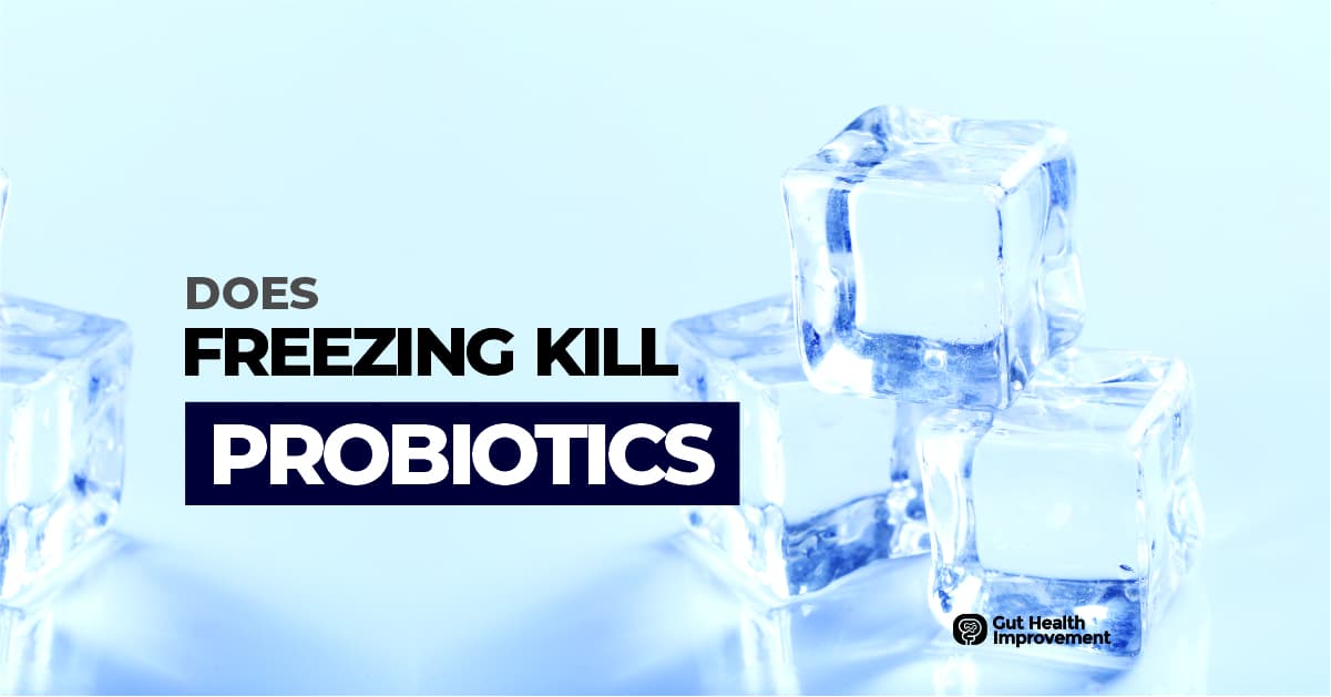 If You Freeze Yogurt Does It Kill the Probiotics