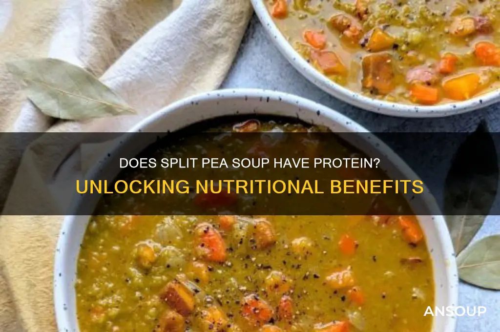 Does Split Pea Soup Have Protein