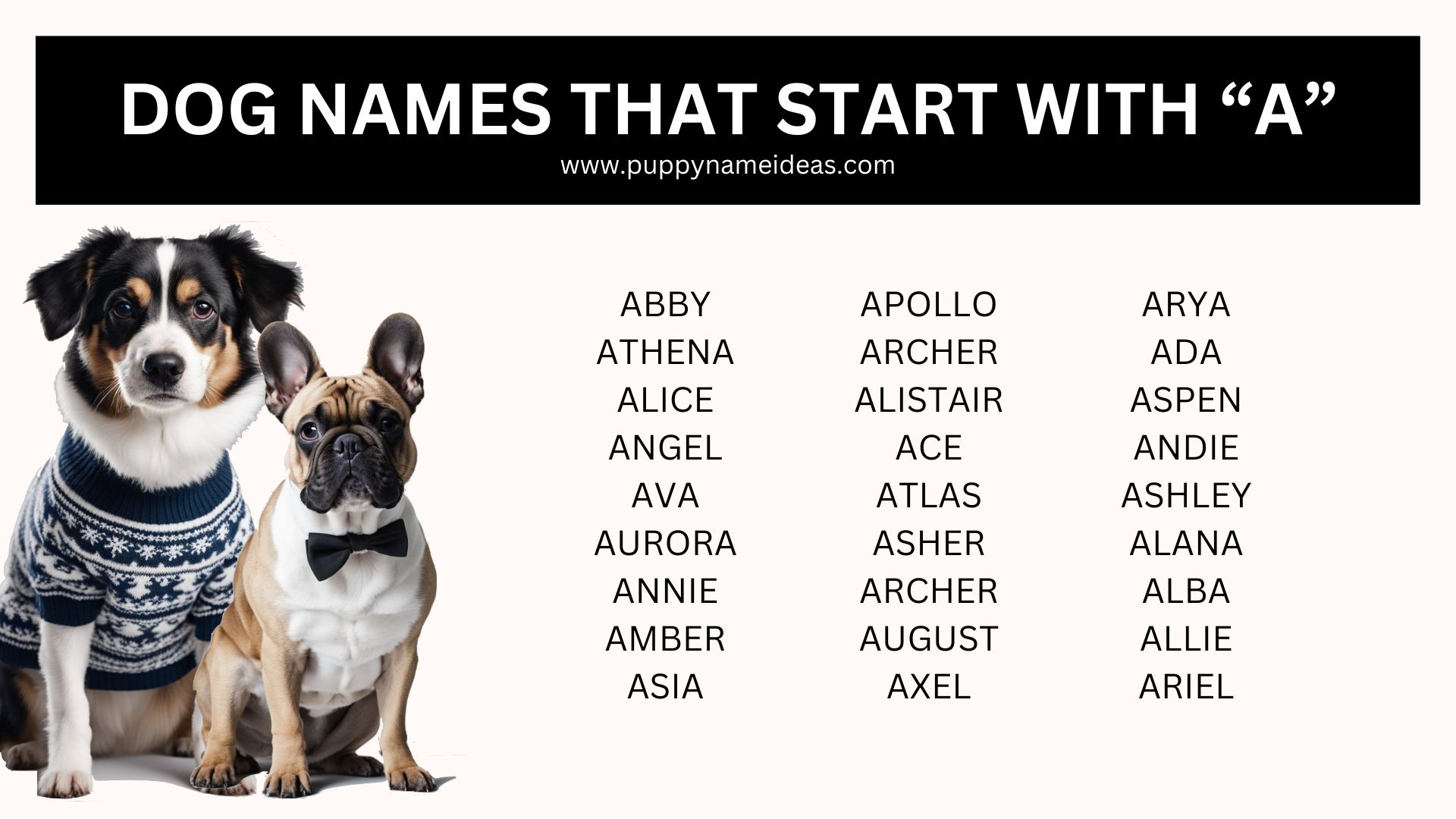 Puppy Names That Start with A