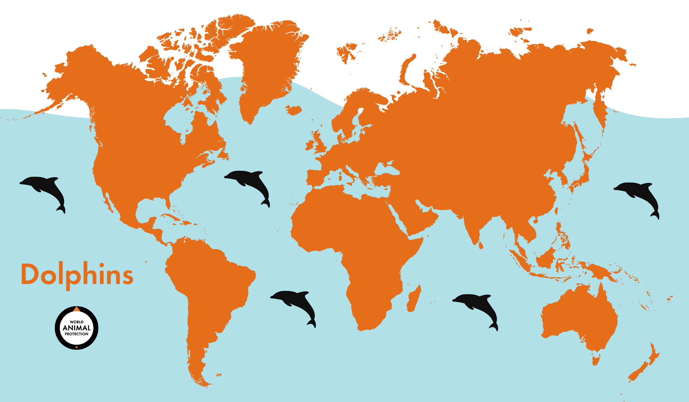 Where Do Dolphins Live on a Map