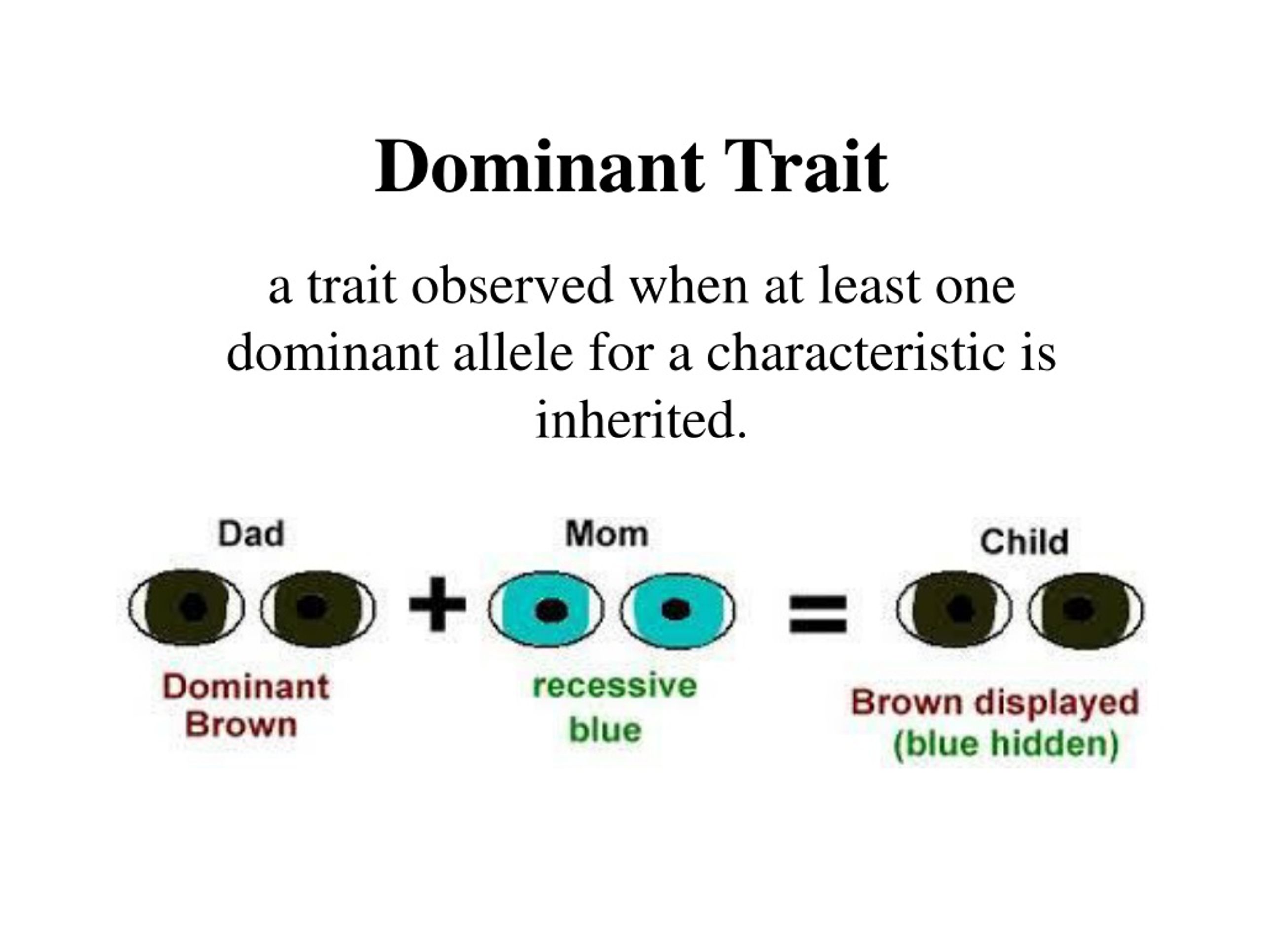 Dominant Trait Definition