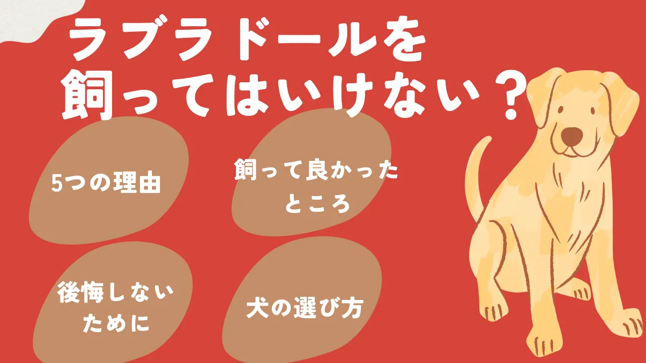 ラブラドールレトリバーを飼ってはいけない？温厚な偶像と破壊の現実