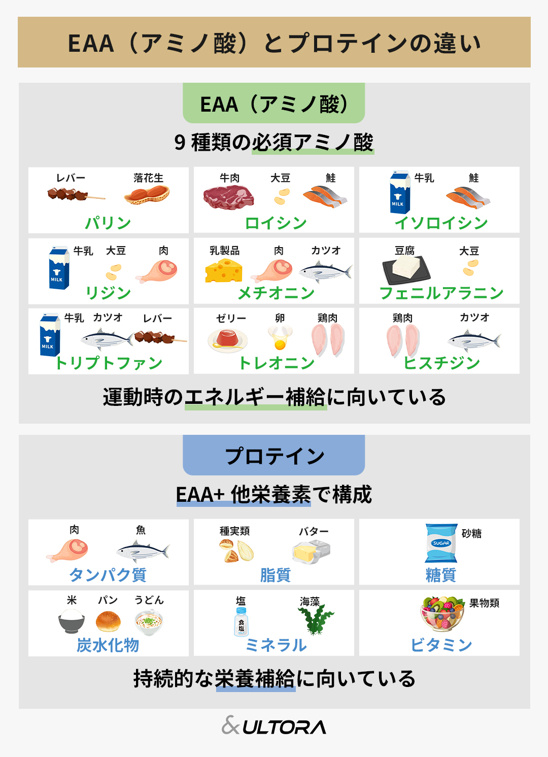 Eaaとプロテインの違いを徹底比較！効果的な飲み分けと選び方の真相