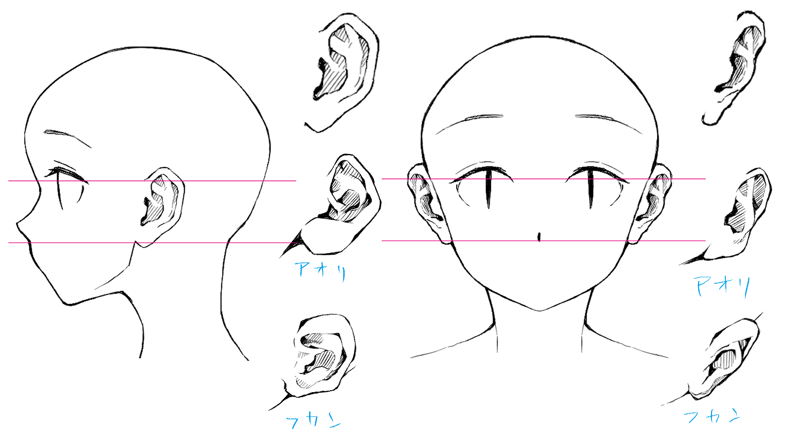 耳の描き方完全解説！なぜ不自然に見えるのか？角度別アタリとプロの技法
