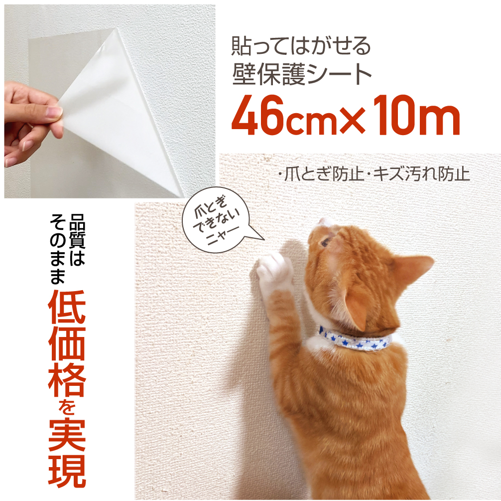 猫の爪とぎ防止決定版2026！壁やソファを守るプロの対策と行動学