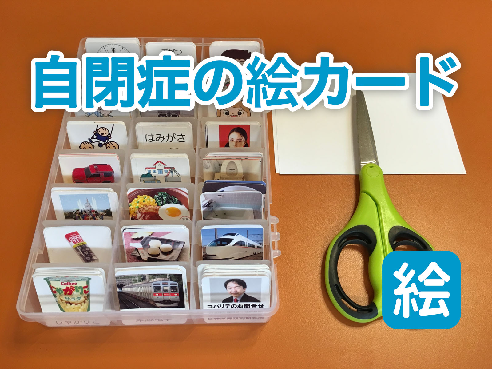 絵カード療育で言葉が出ない真の理由とは？効果を高める実践法と最新教材