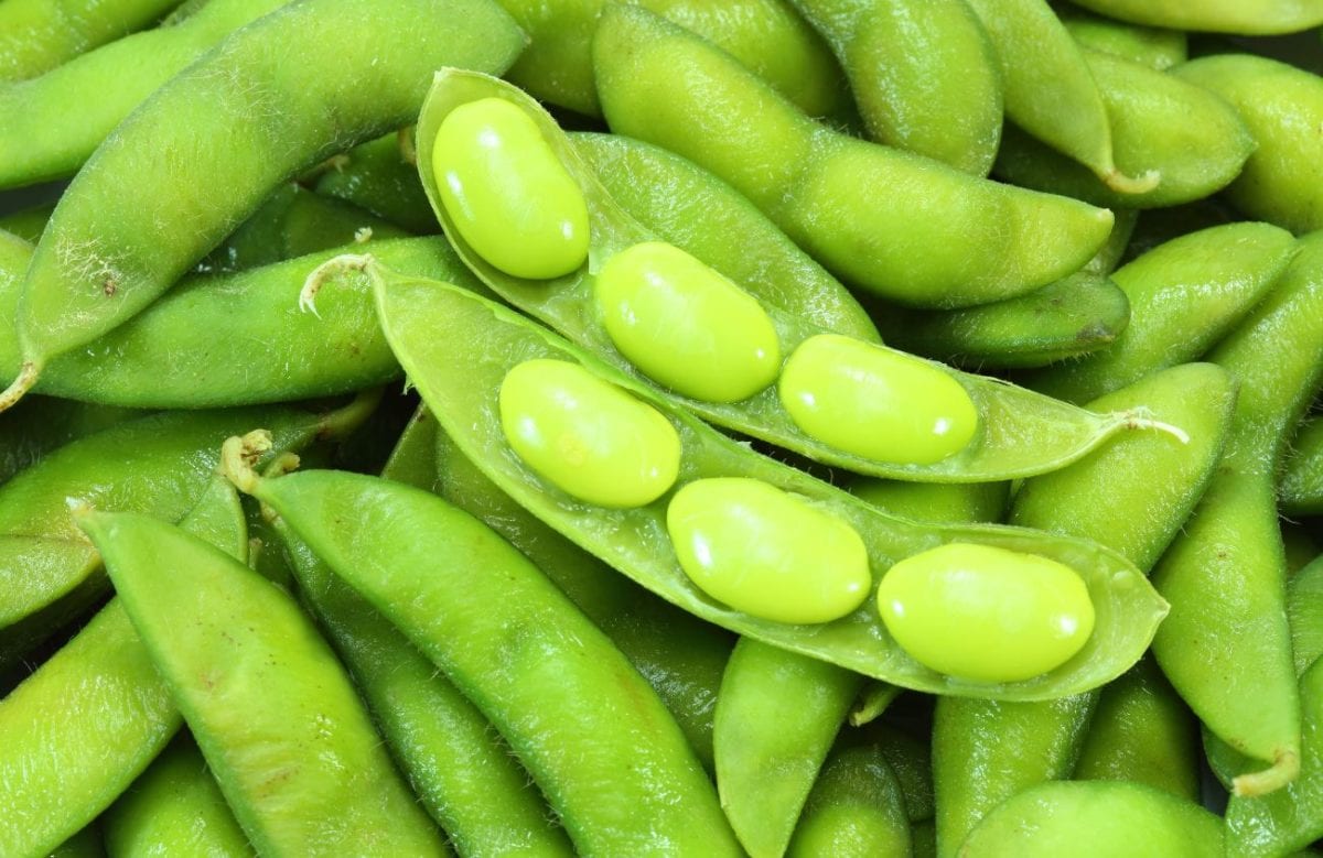 Are Edamame Beans Healthy