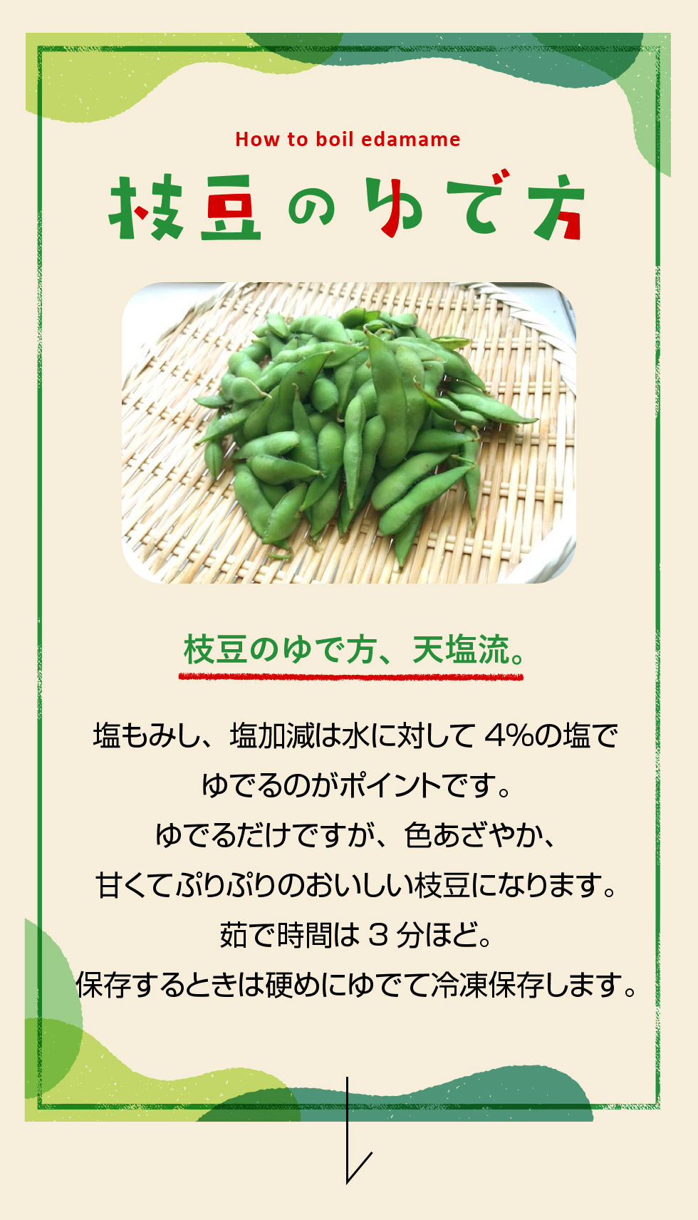 枝豆のゆで時間は何分？塩分4％の黄金比と水っぽくならない極意