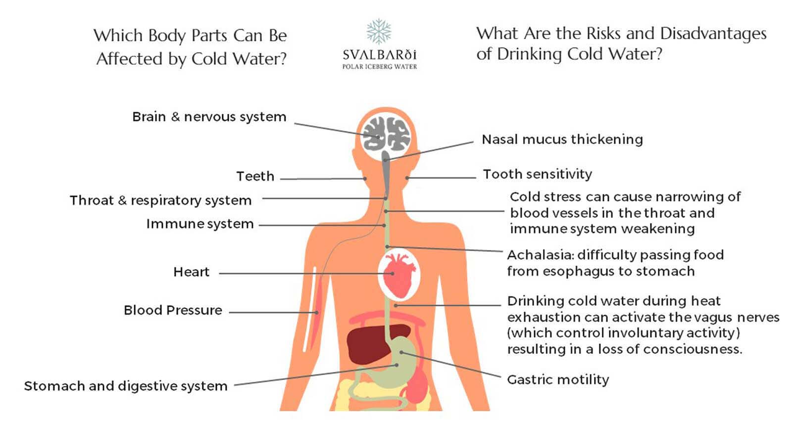 Why Drinking Cold Water Is Bad