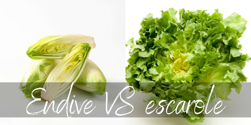 Is Escarole the Same as Endive