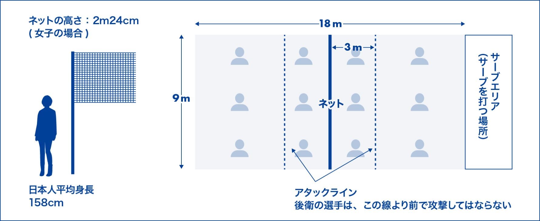 女子バレーネットの高さ完全解説！年代別規格と男子との決定的な差