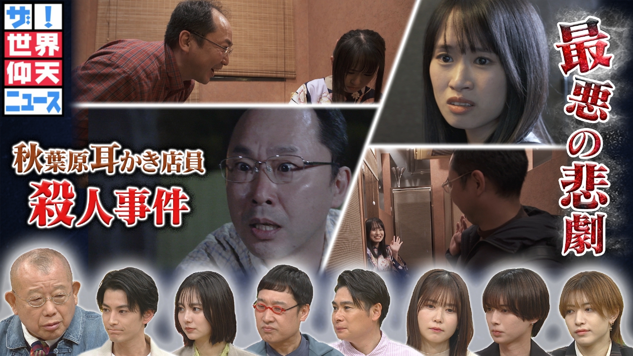 秋葉原耳かき事件の真相と犯人の動機｜裁判員裁判の判決理由と現在