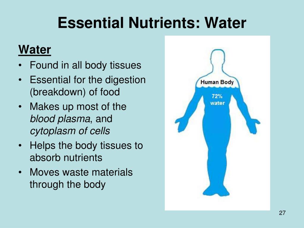 What Is Water as a Nutrient