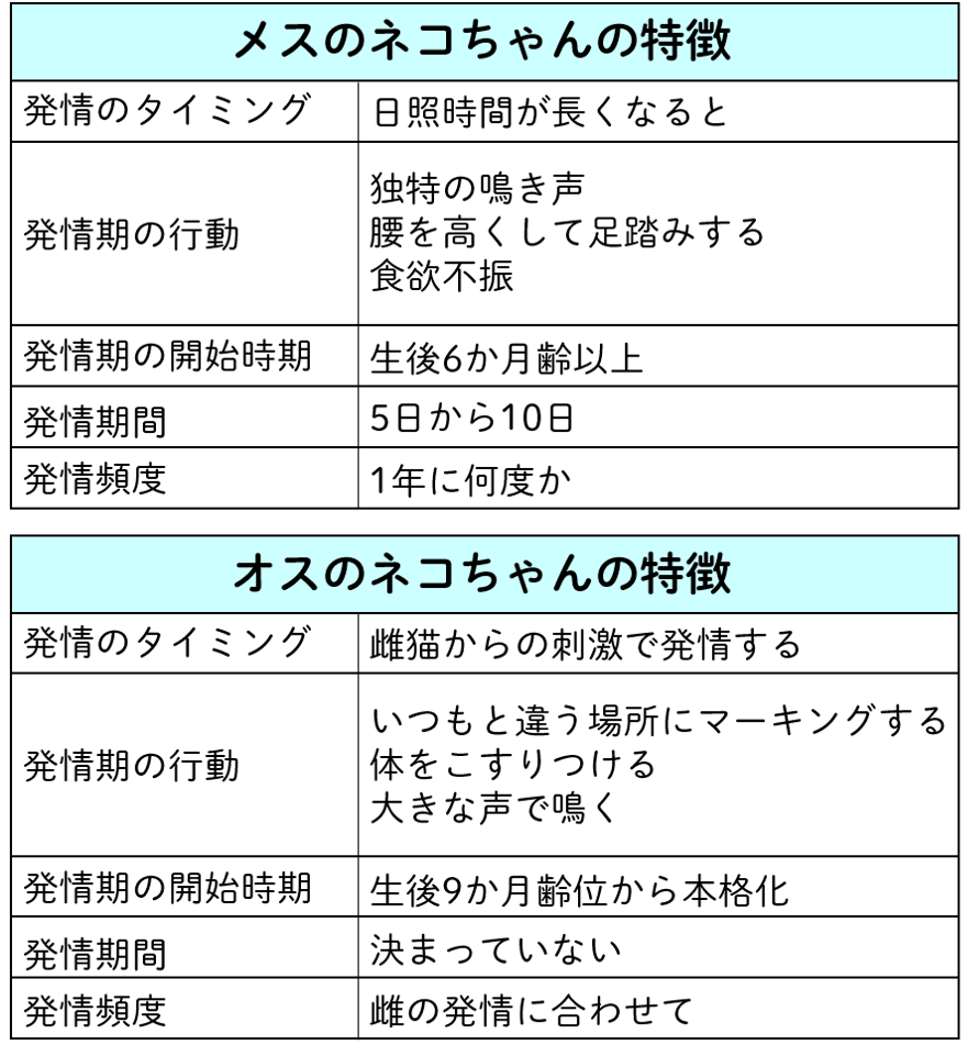 発情期とは？犬猫の行動変化と期間・人間にあるかの真相を徹底検証
