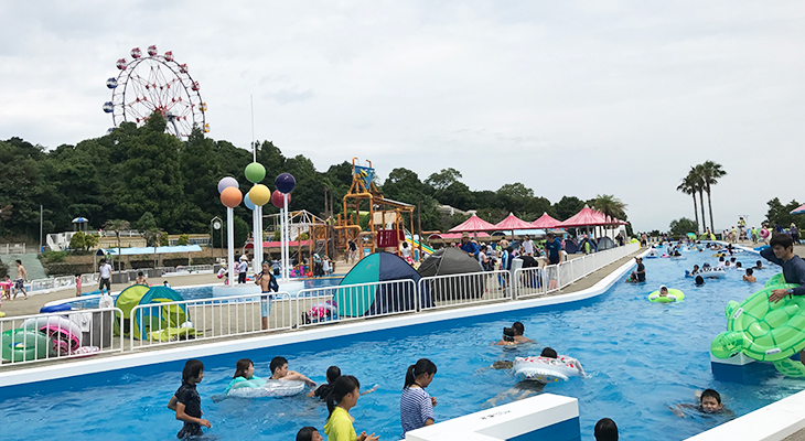 みさき公園プール再開の真相に迫る！新エリア構想と現場の鼓動