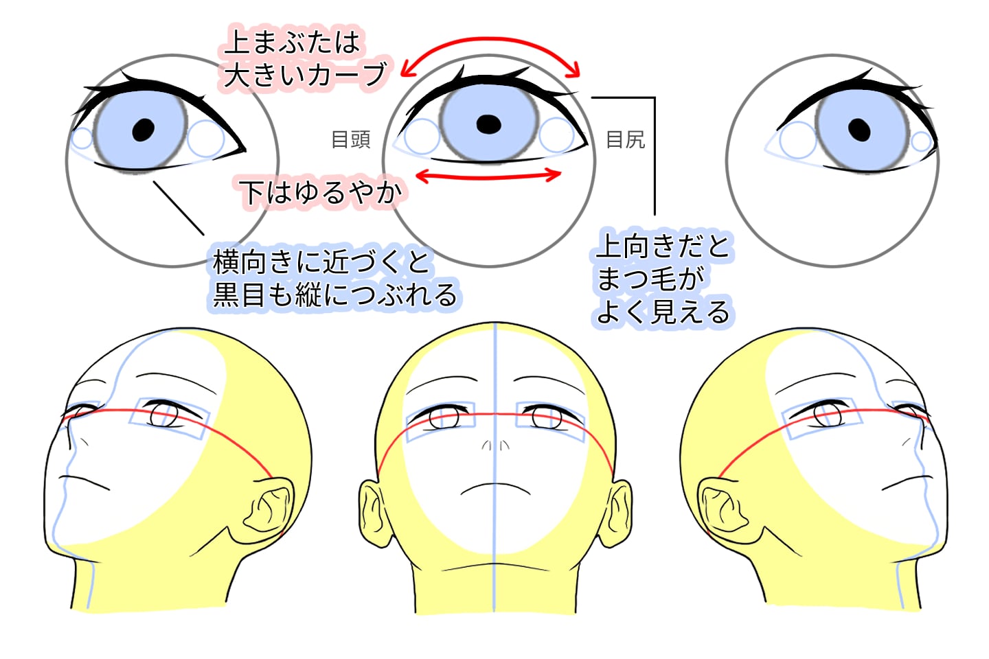 プロが明かす目の描き方！瞳の立体感とハイライトで魅せる作画術