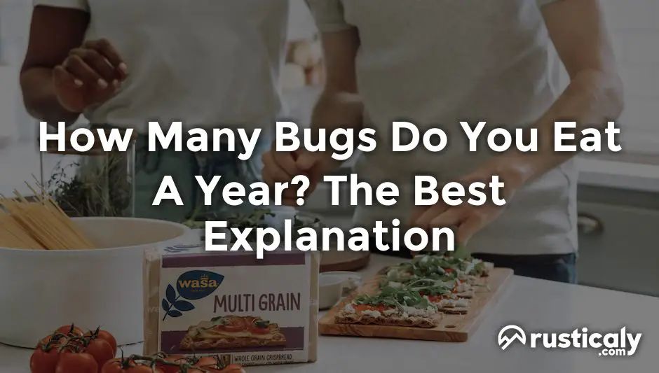 How Many Flies Do We Eat a Year