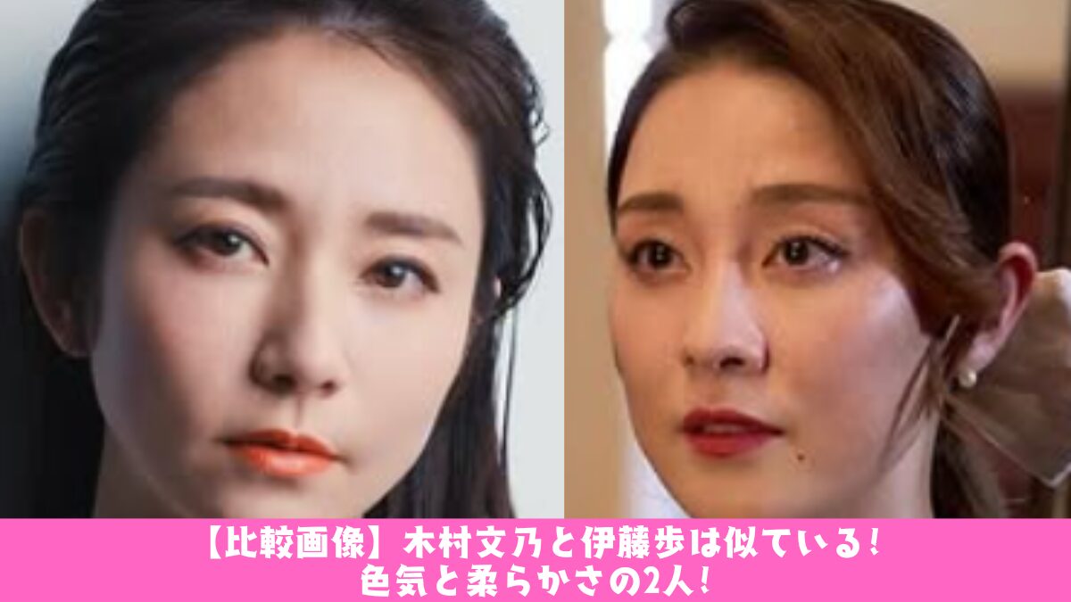 伊藤歩と木村文乃は似てる？姉妹説の真相と決定的な見分け方を徹底検証