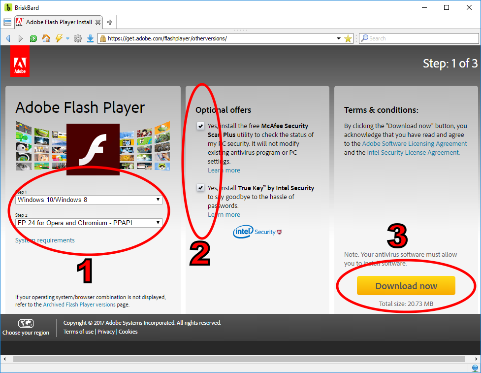 How Do I Get the Adobe Flash Player
