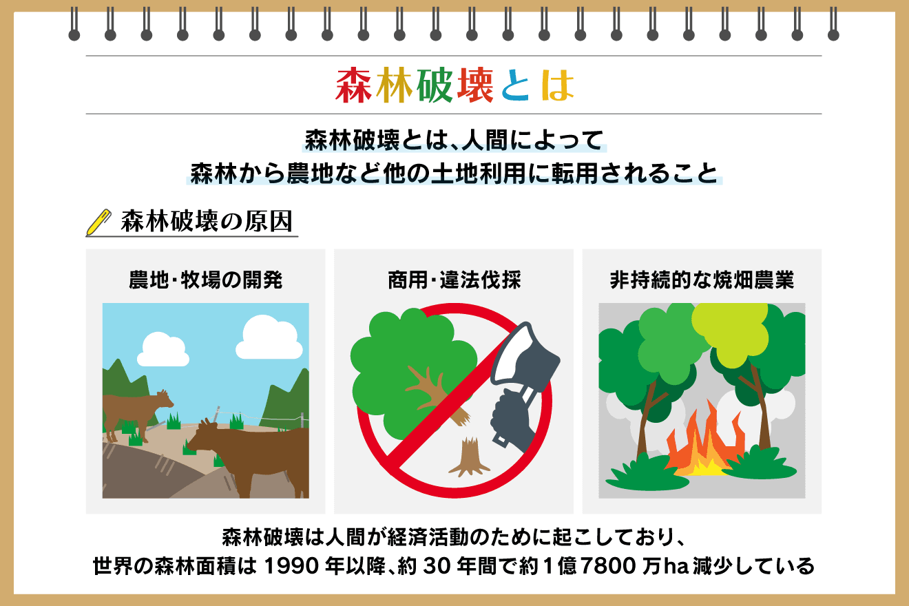 【2026年最新】暖かさの限界突破と環境危機、私たちが知るべき「冬の相棒」の真実