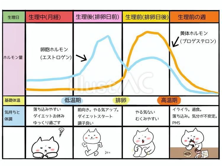 【話題】 生理 後 体調 不良 2026年最新プロフィール #616