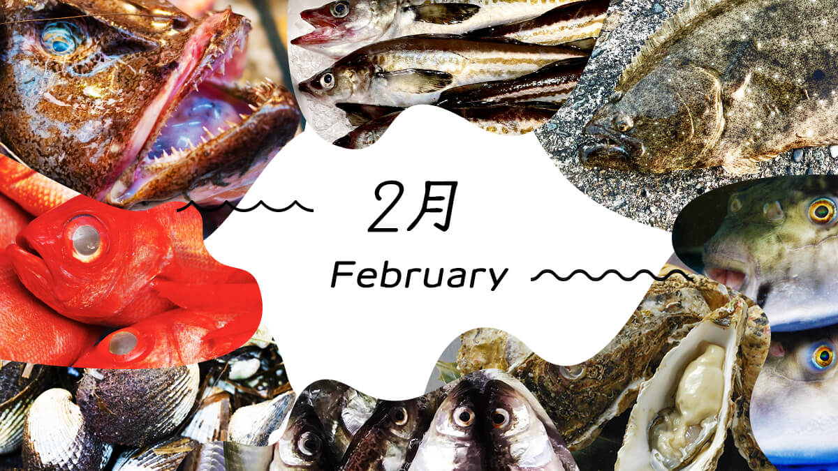 2月の旬の魚決定版！プロが明かす極上魚種とスーパーの目利き術2026