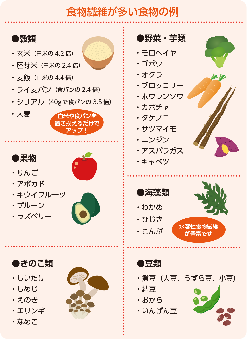 食物繊維が多い食べ物最新ランキング！レタス神話の罠と腸活の新常識