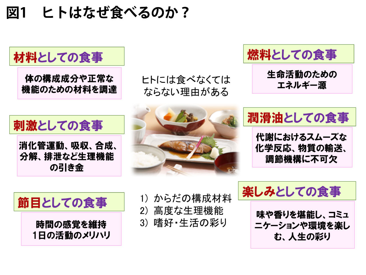 食事とは何か？単なる栄養補給を超えた心身の健康と文化的価値