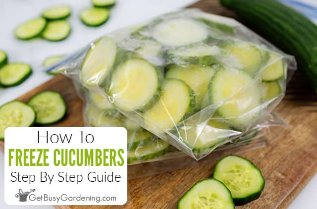 Can You Freeze a Cucumber