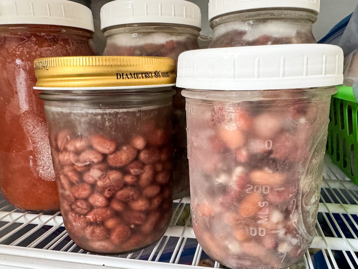 Can I Freeze Cooked Beans