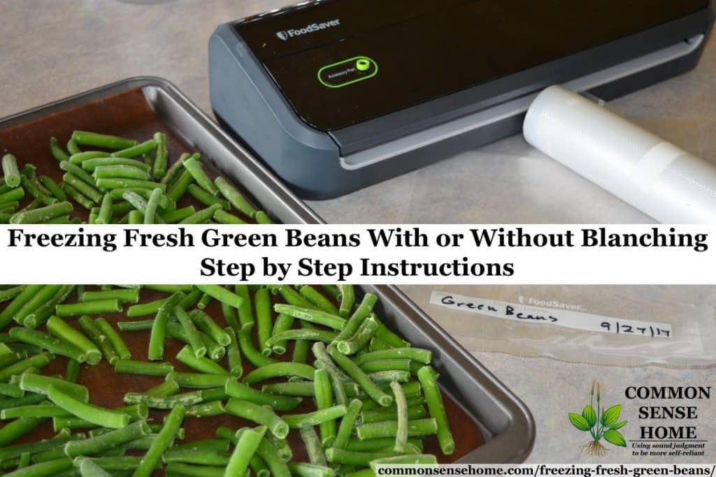 How to Freeze Fresh Green Beans Without Blanching