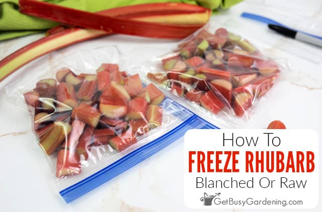 How Long Can You Freeze Rhubarb