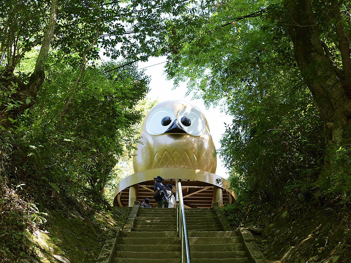 鷲子山上神社で宝くじ当選続出の真相！日本一の大フクロウと金運の全貌