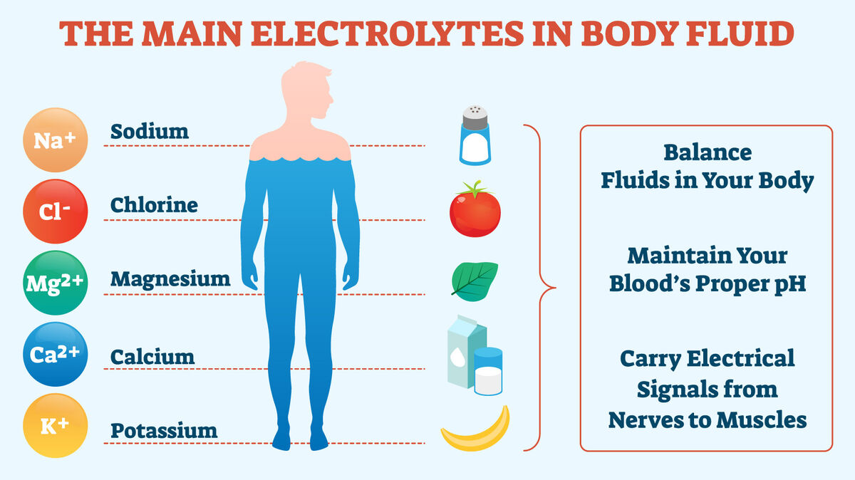 What Is Electrolyte Good For