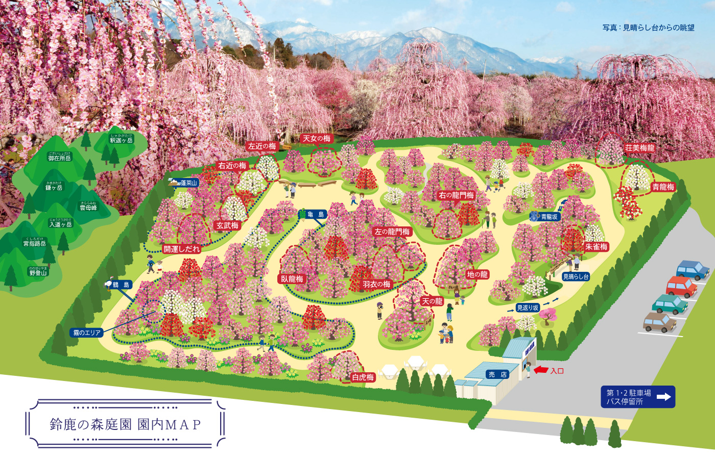 【2026最新】鈴鹿の森庭園の見頃はいつ？変動入園料の真相と混雑回避術