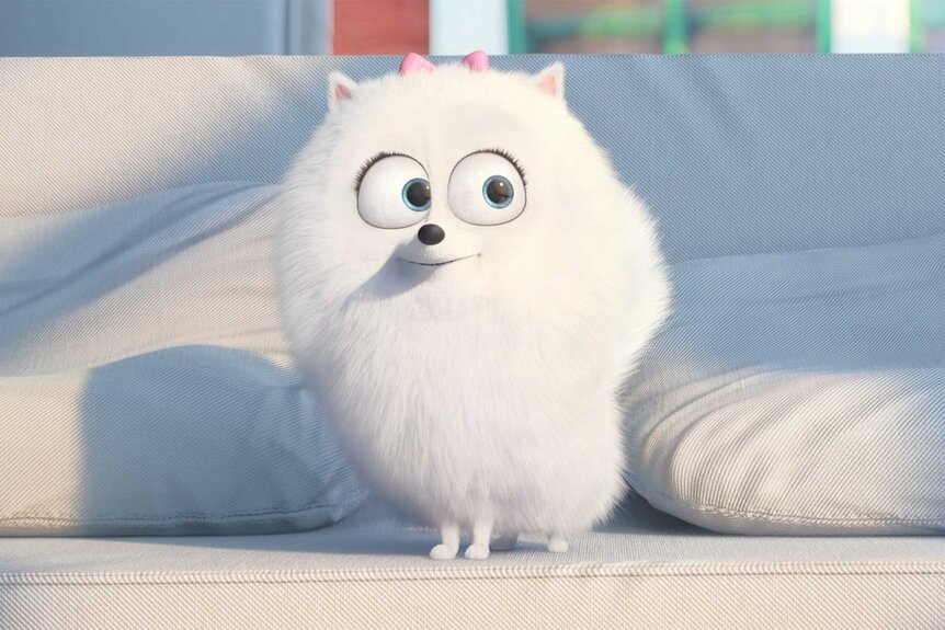 Gidget from Life of Pets
