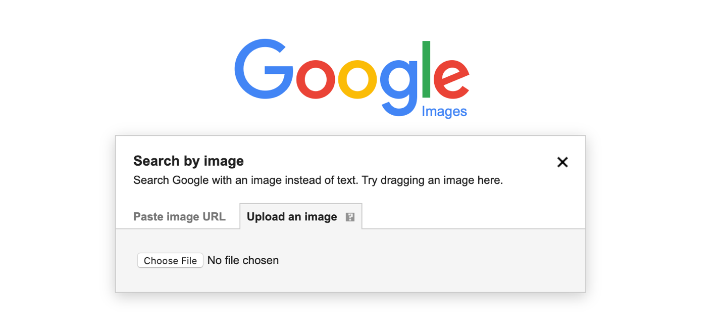 Googl Search by Image