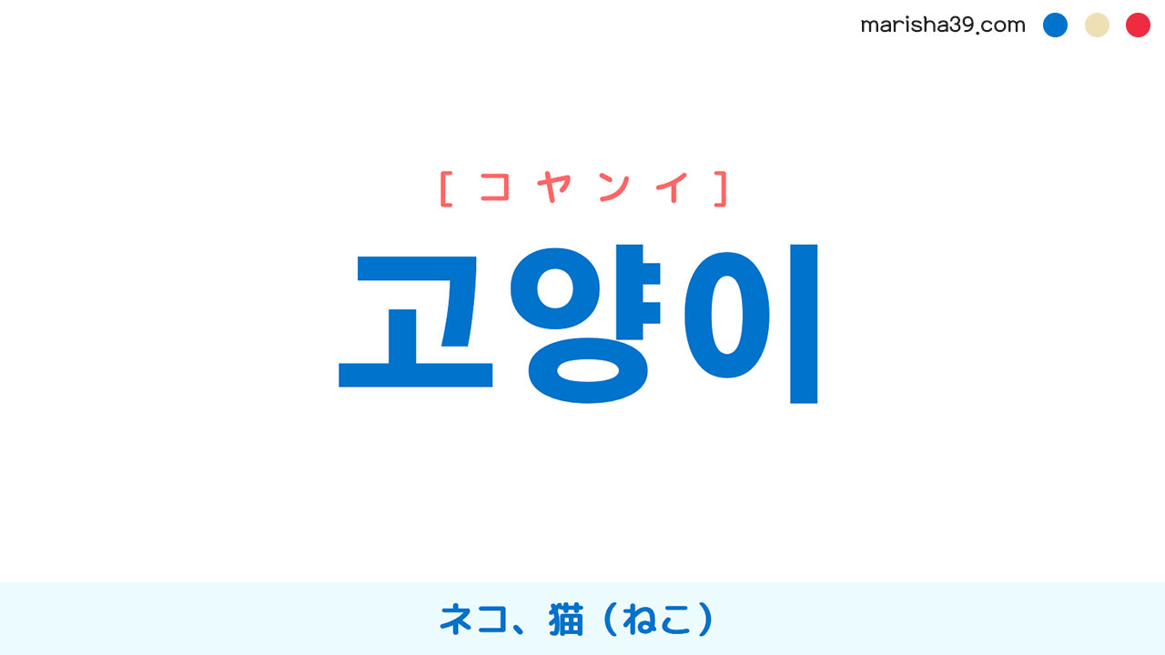 韓国語の「猫」完全解剖！発音・可愛い呼び方から2026年最新事情まで