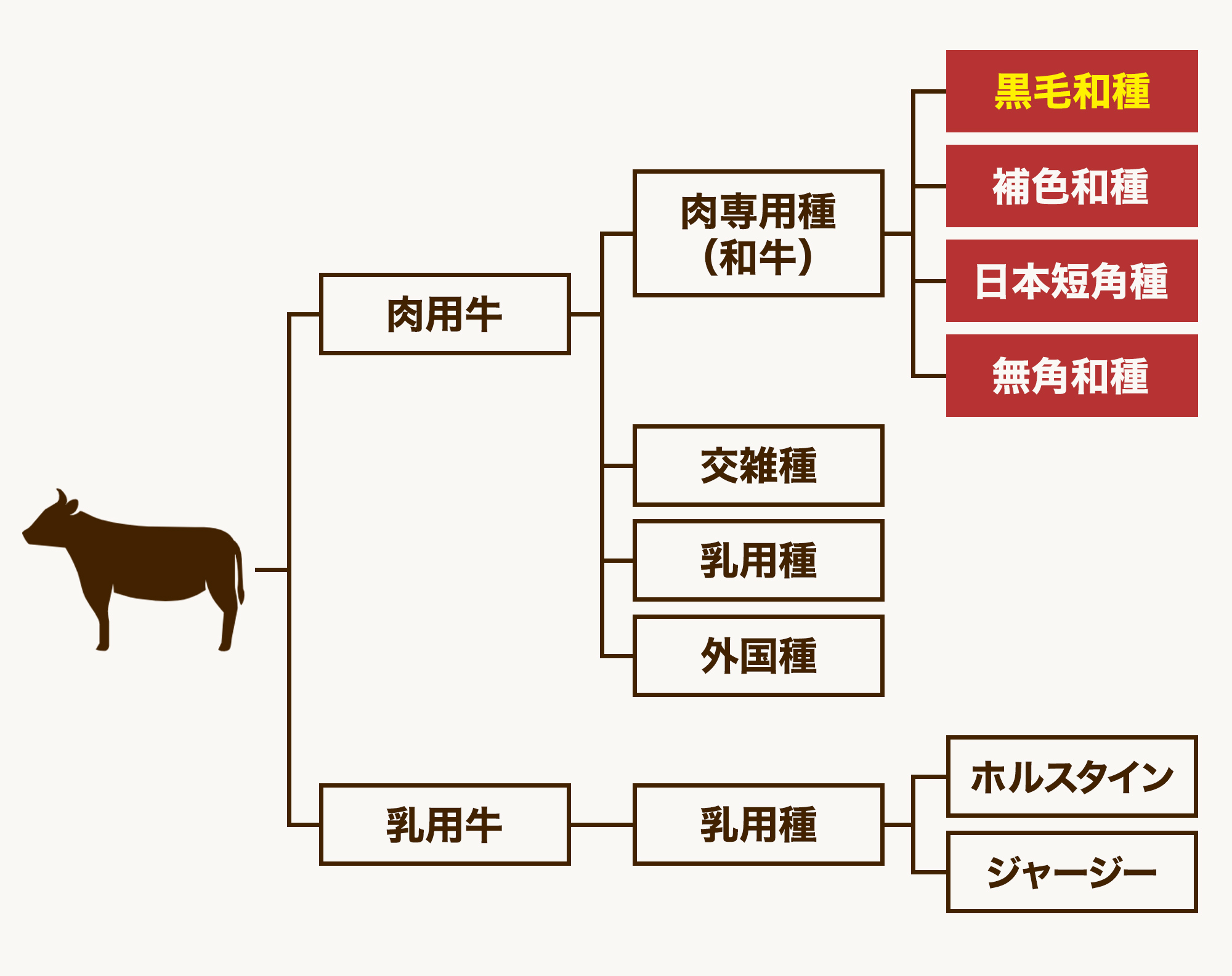 黒毛和牛とは？国産牛との違いとA5の真実、価格高騰の裏側を解明