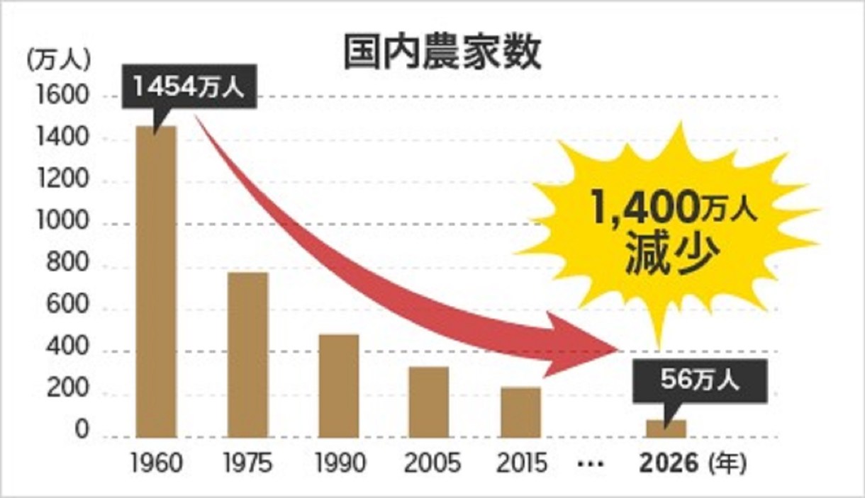 日本の農業の課題と限界の真相【2026年最新現場リポート】