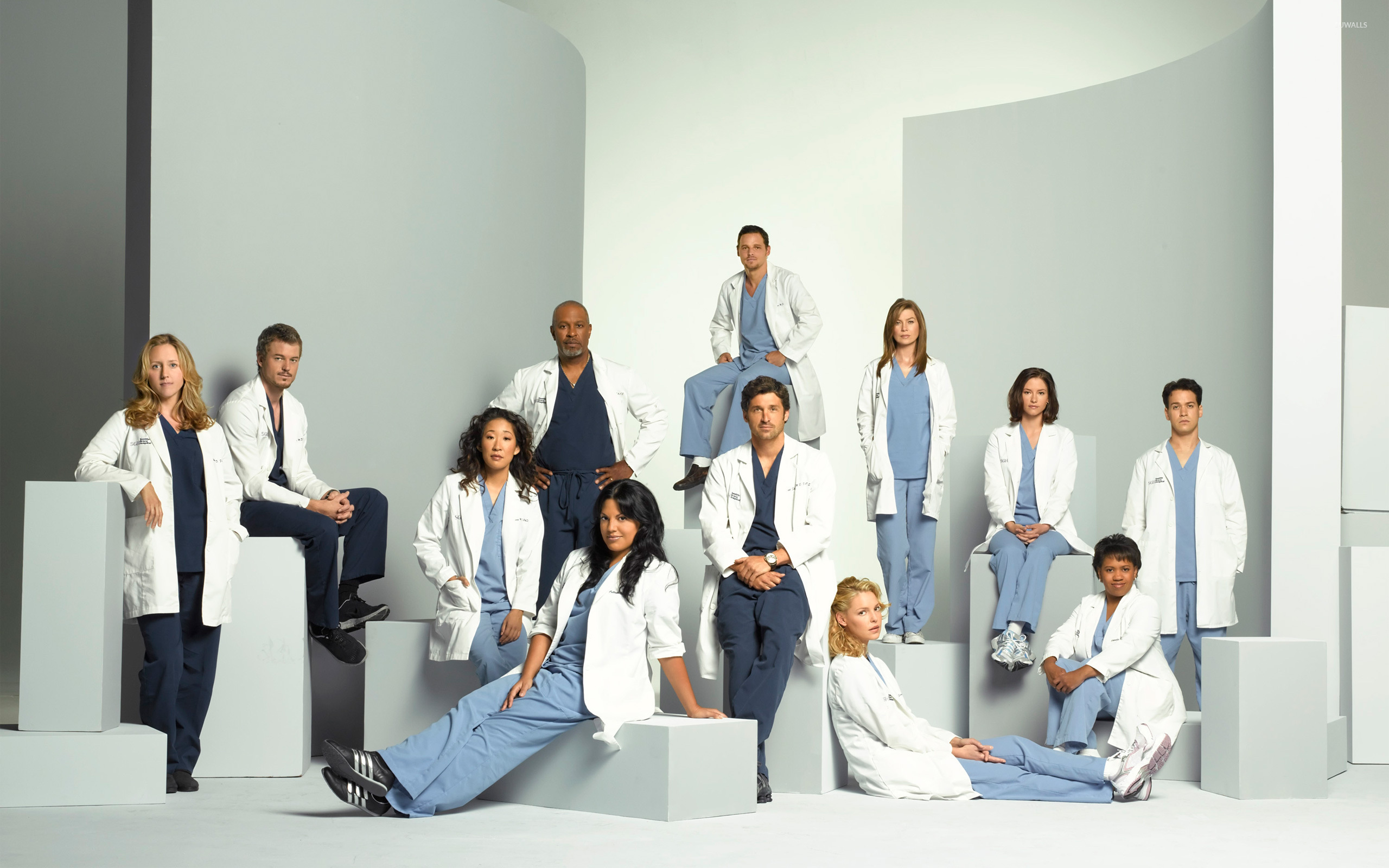 Cast of Grey's Anatomy Season 9