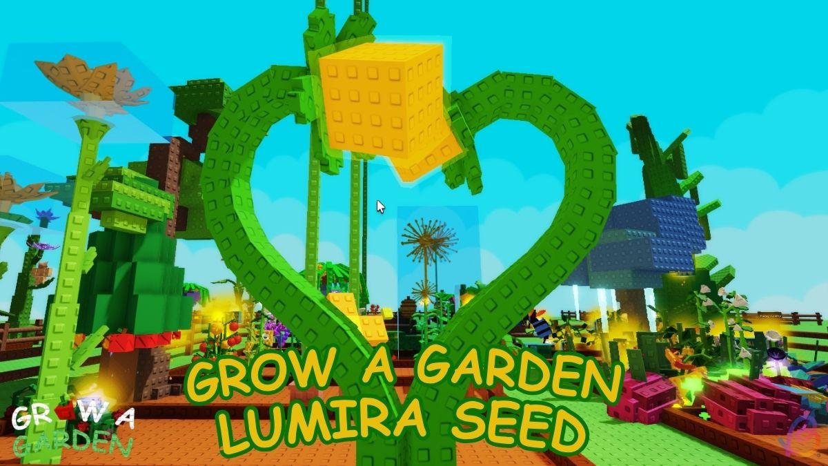 How to Get Lumira in Grow a Garden