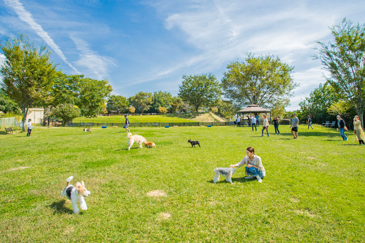 世界の名犬牧場の評判は？料金や割引クーポン・混雑の実態を徹底解剖