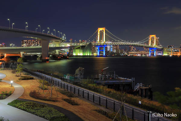 【2026最新】都会の静寂と煌めきが交差する街――豊洲の夜景が今、大人の週末に「選ばれる理由」